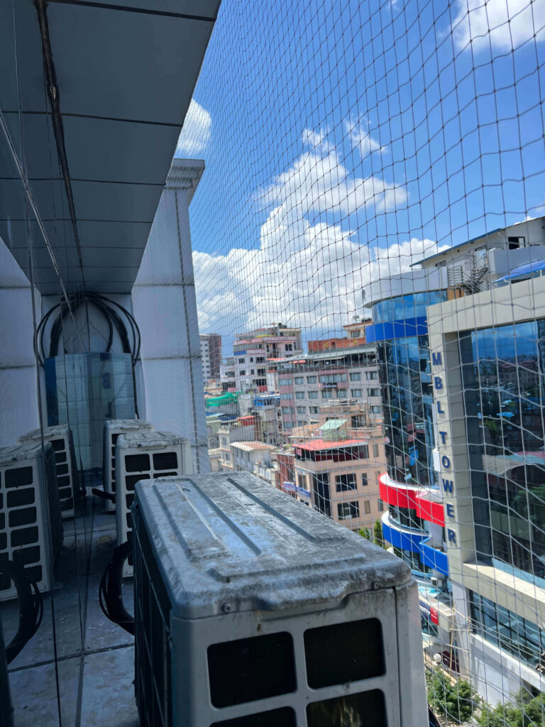 pigeon net installation in building