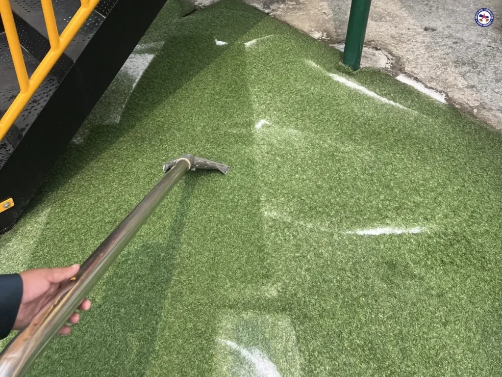 grass type carpet cleaning